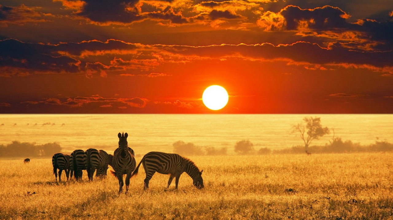 africa_sunset_wallpaper.