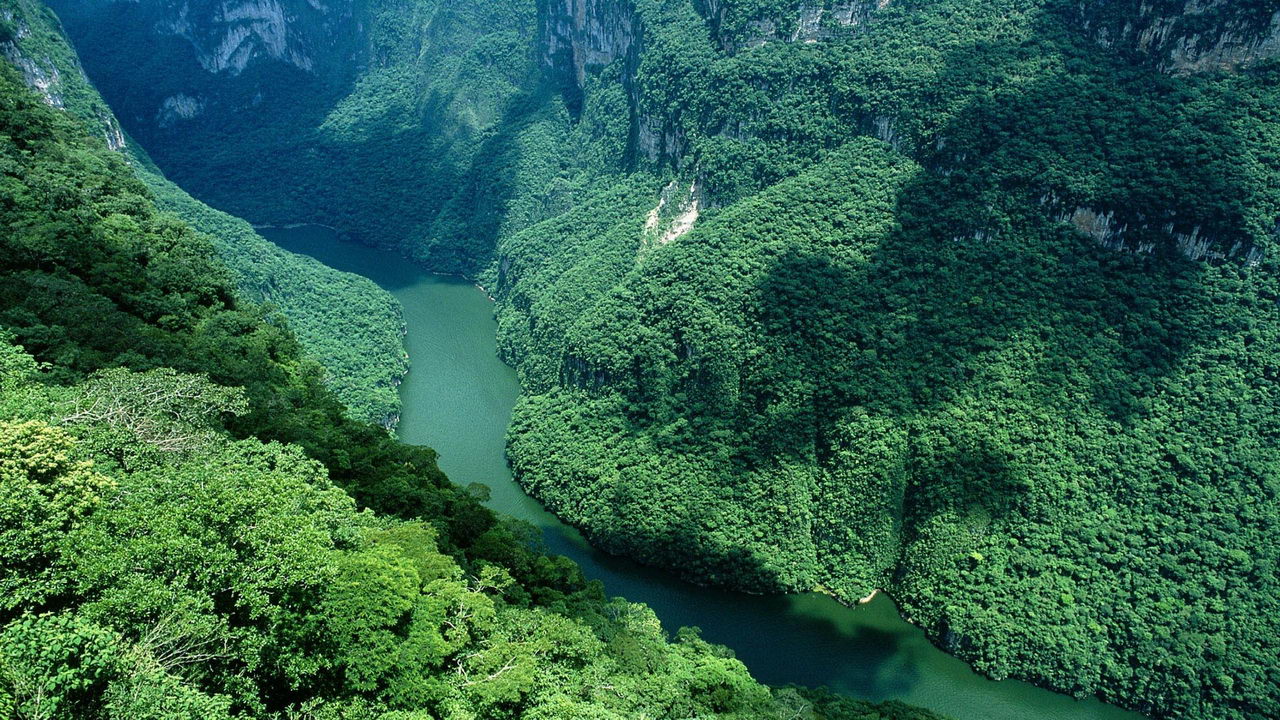 Amazonas, Brazília