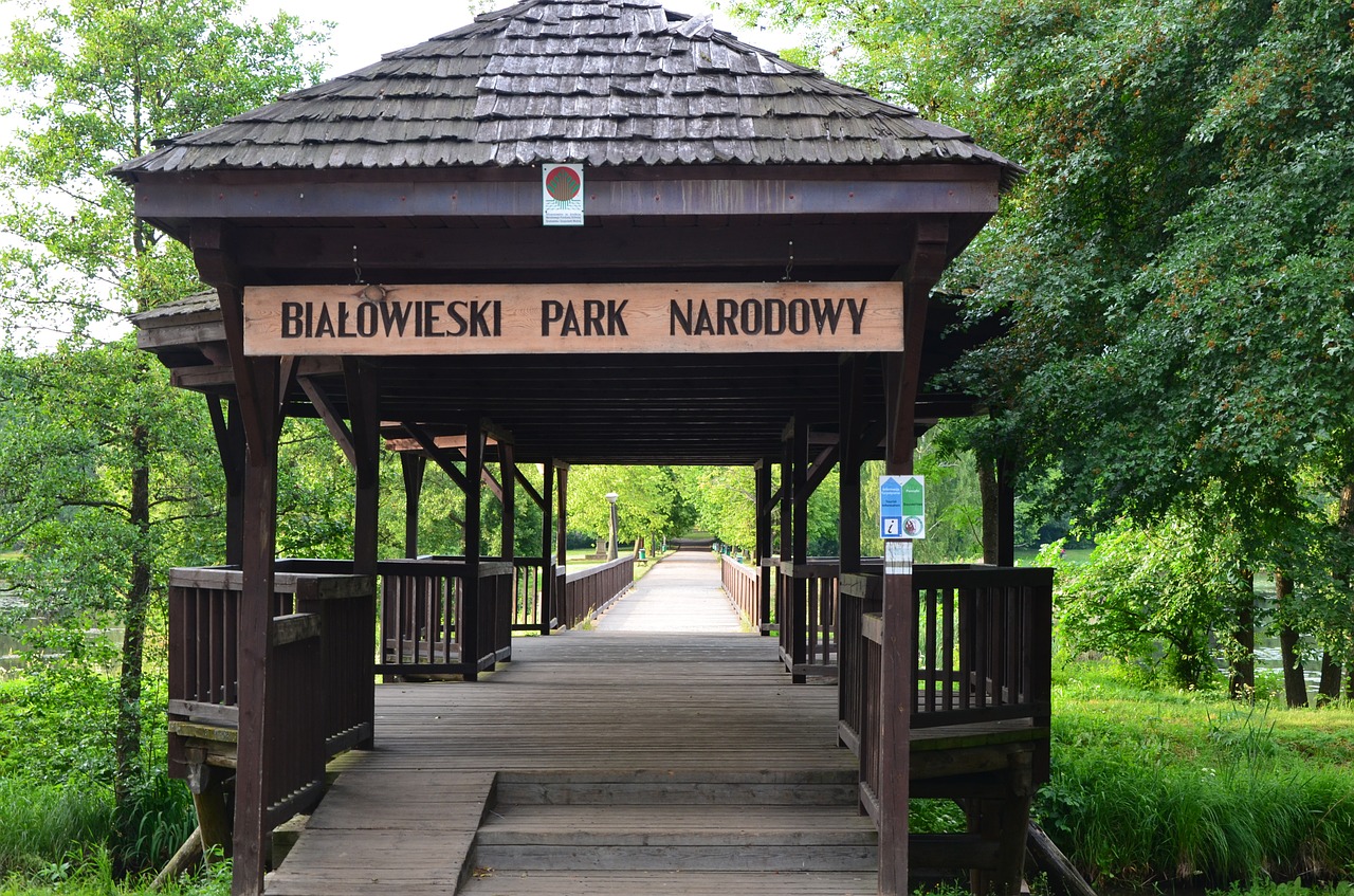 Bialowieza National Park, Lengyelország