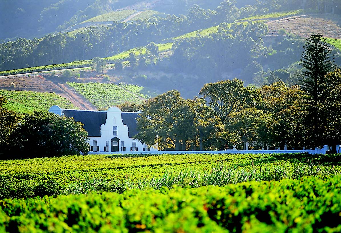 Cape-Winelands.