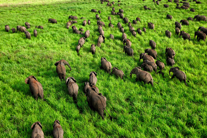 Garamba Nemzeti Park