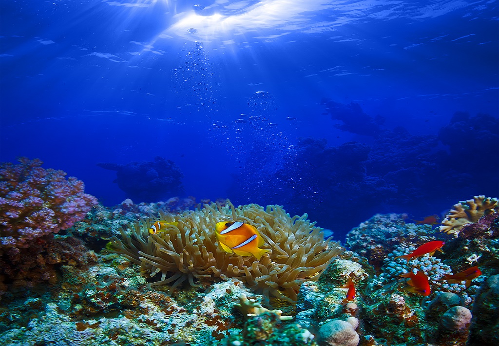 Great Barrier Reef, Australia