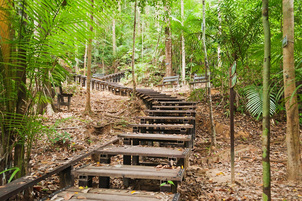 Gunung Mulu Nemzeti Park