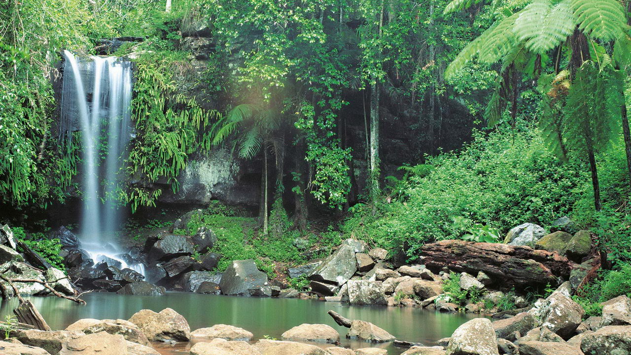 Kakadu Nemzeti Park, Ausztrália