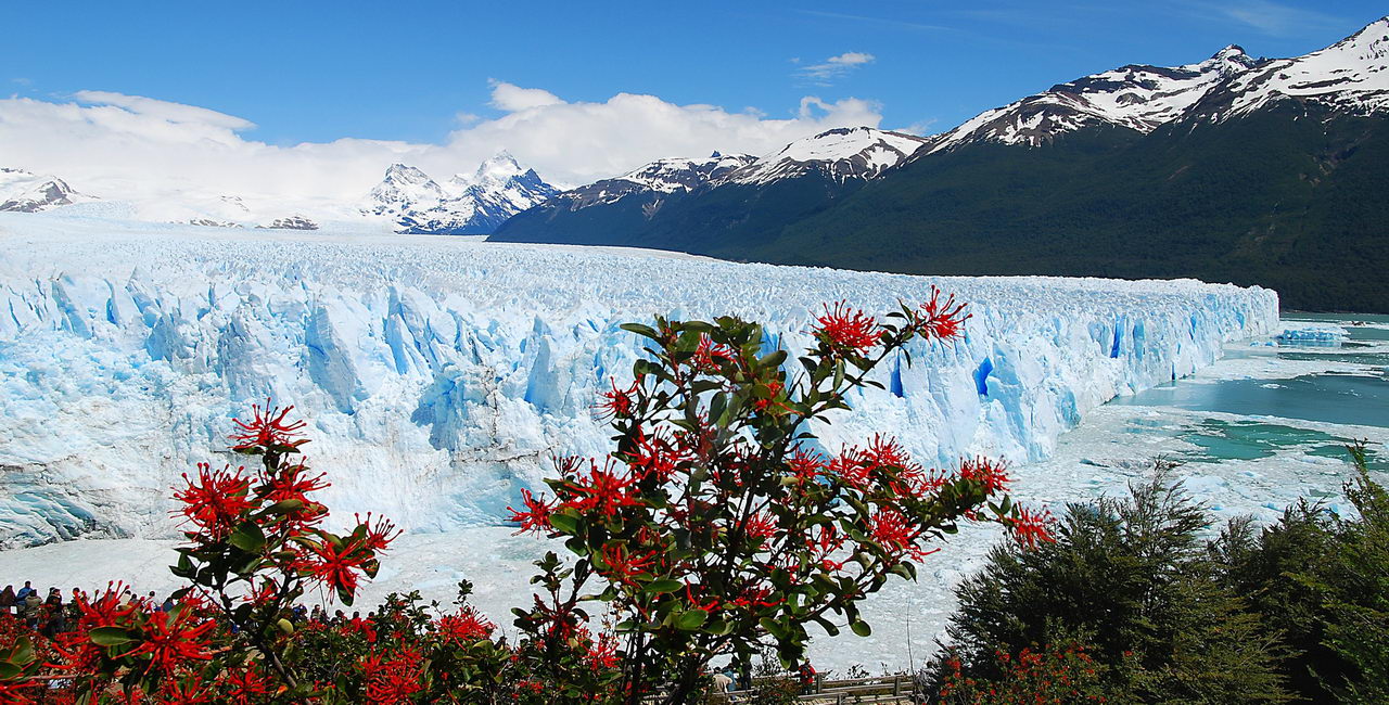 El Calafate