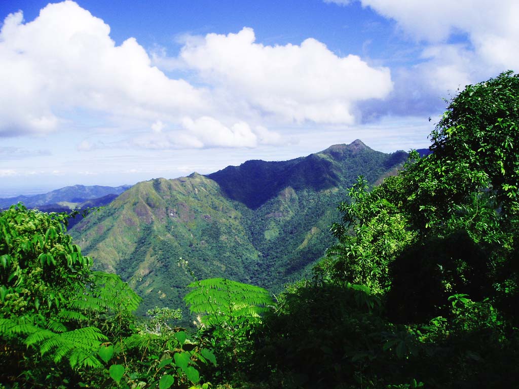 Pico Turquino