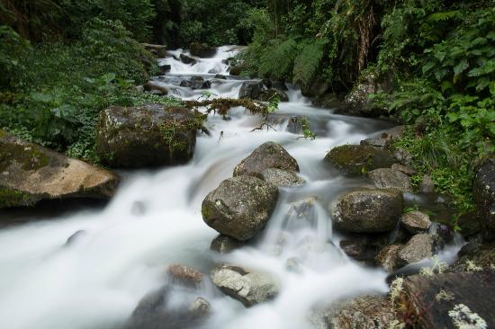 Sendero Los Quetzales