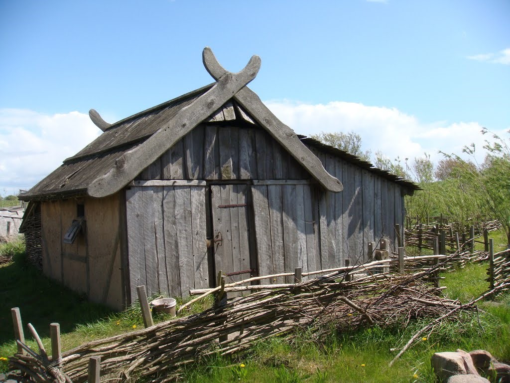 Foteviken vikingrezervátum