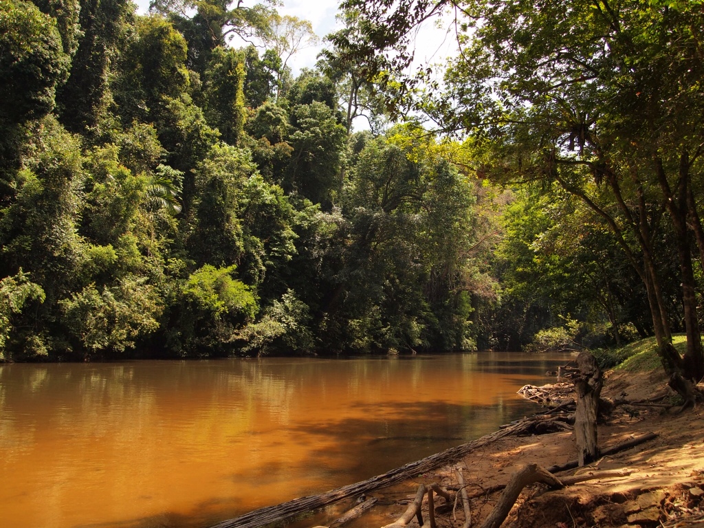 Taman Negara