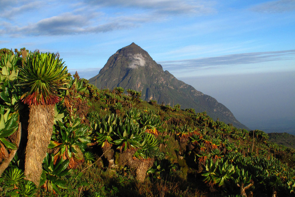 Virunga Nemzeti Park