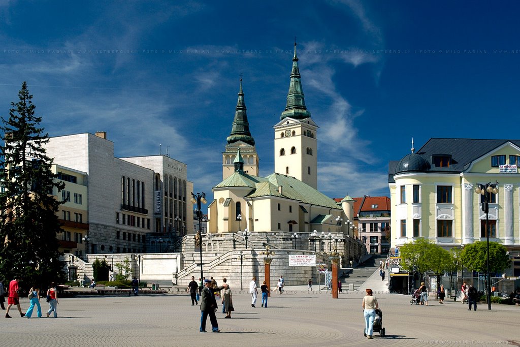 Zsolna